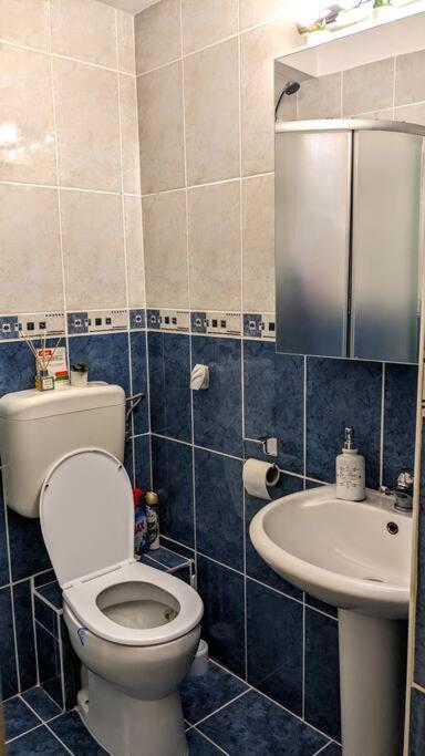 Cosy One Bedroom Flat With Free Parking & Wifi Cluj-Napoca Exterior foto